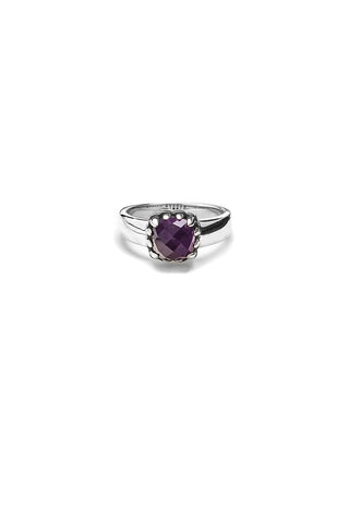 Stolen Baby Claw Ring - AMETHYST