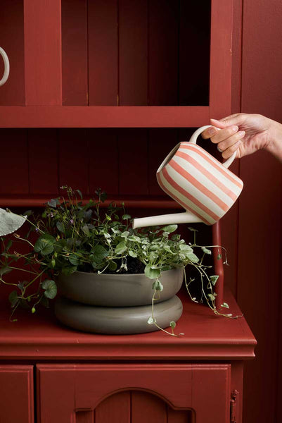 ROBERT GORDON - WATERING CAN - CORAL STRIPE PLANT PARENT