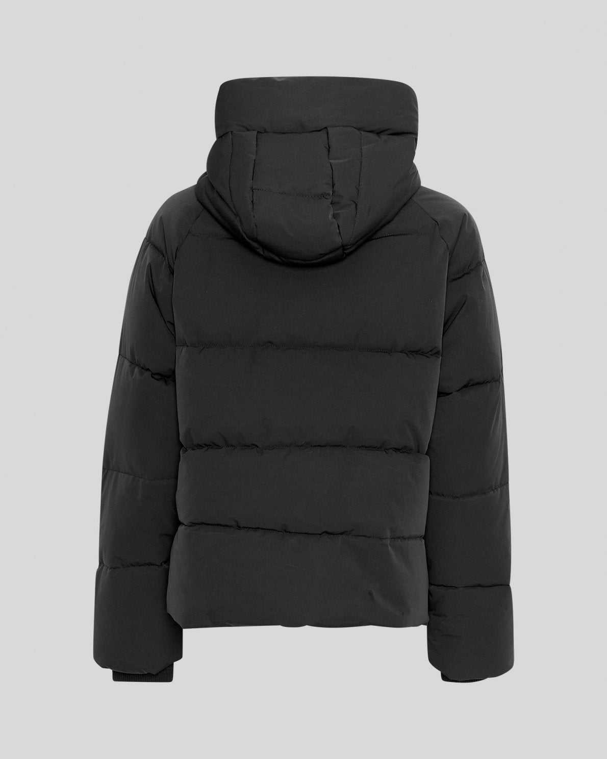 MSCH - PAVINA DOWN SHORT JACKET - BLACK