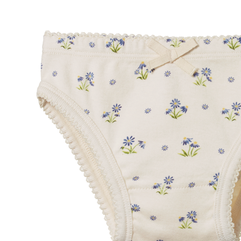 Nature Baby - Cotton Knickers - DAISY DAZE PRINT