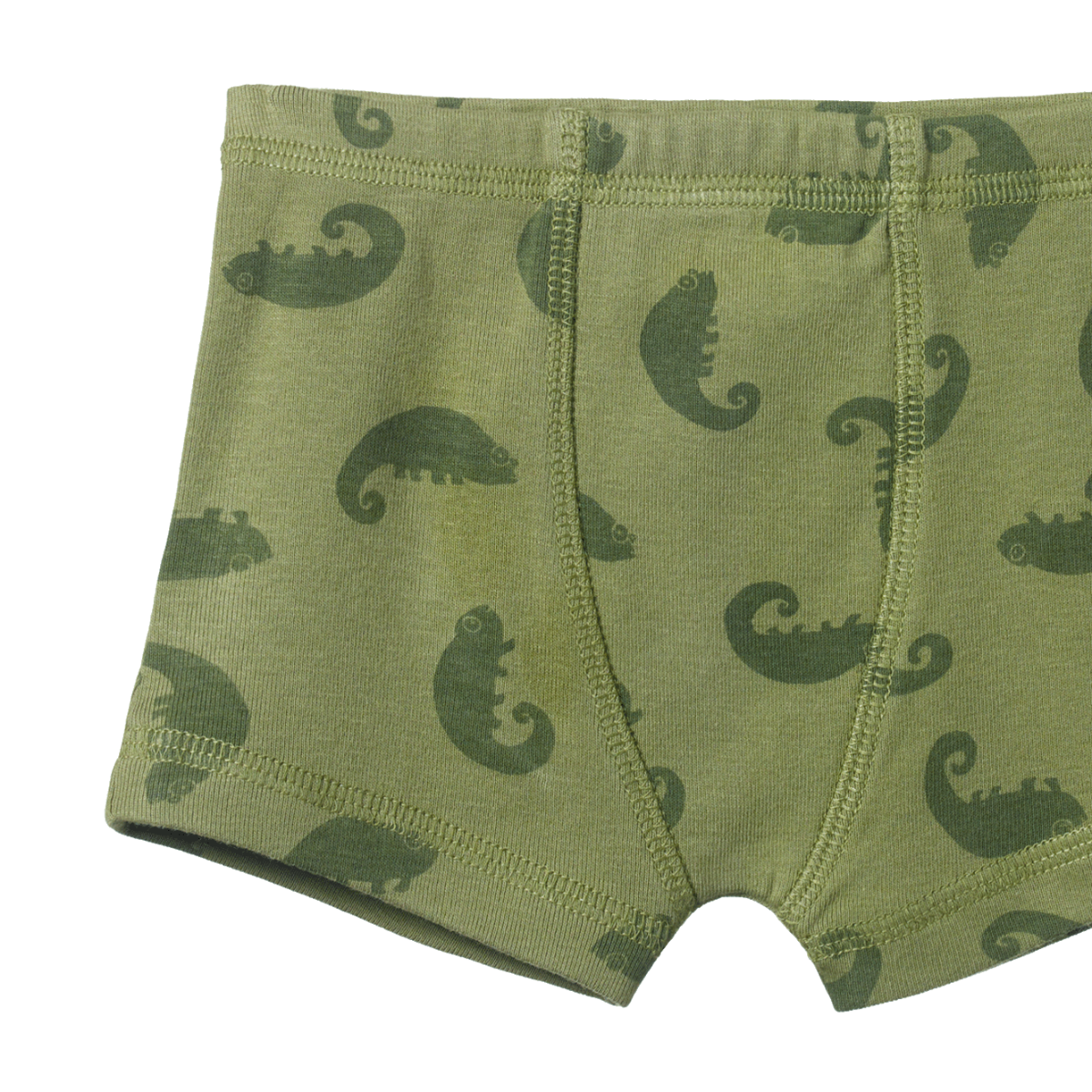 Nature Baby boxer shorts -  CHAMELEON PRINT