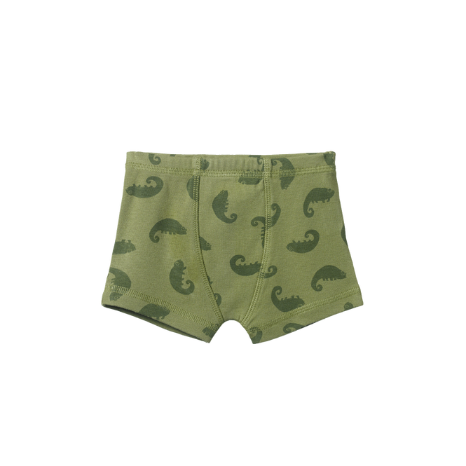 Nature Baby boxer shorts -  CHAMELEON PRINT