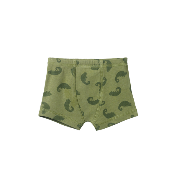 Nature Baby boxer shorts -  CHAMELEON PRINT