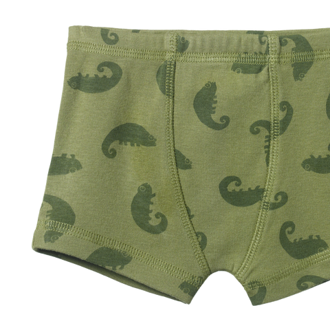 Nature Baby boxer shorts -  CHAMELEON PRINT