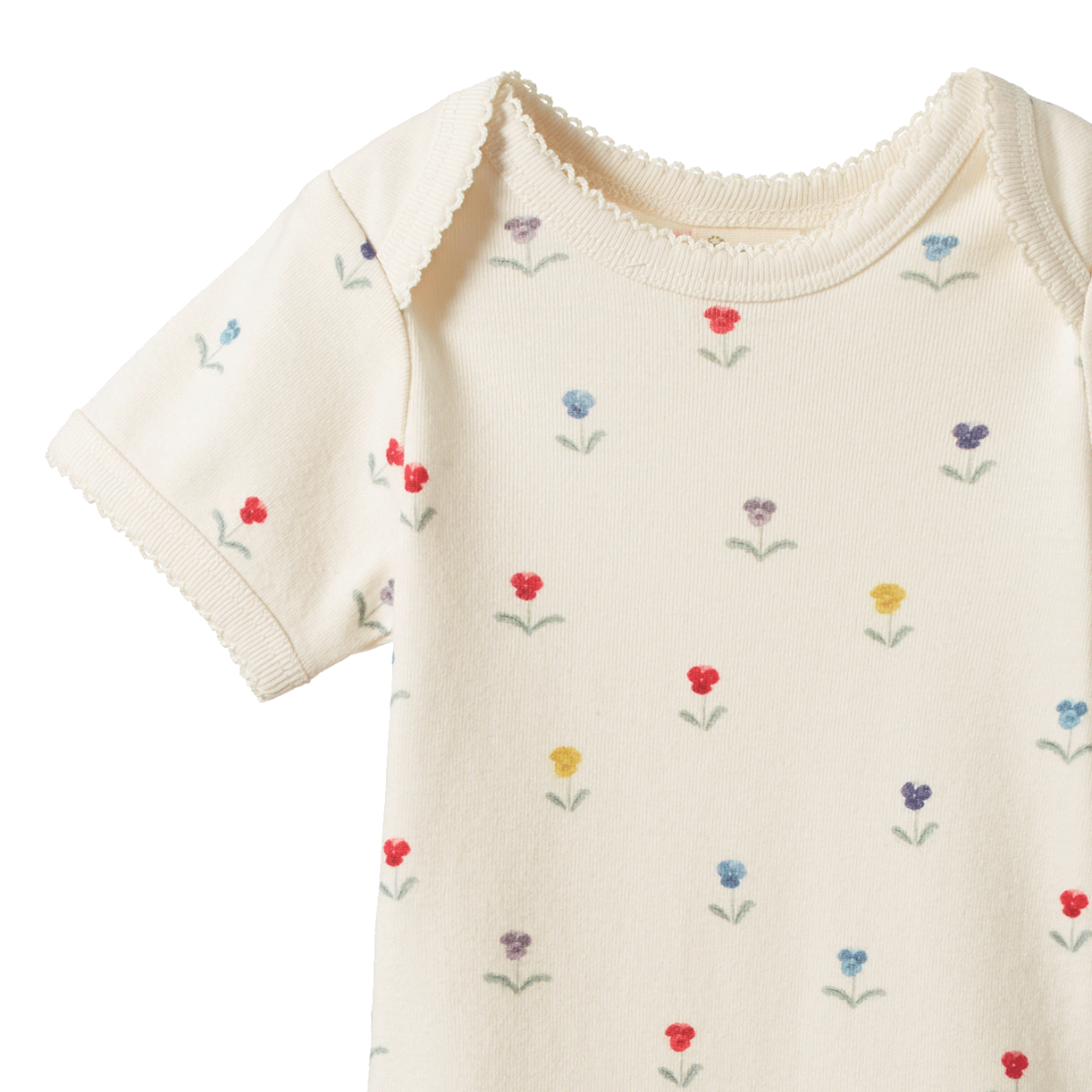 Nature Baby - Cotton Short Sleeve Bodysuit - DELPHINE PRINT
