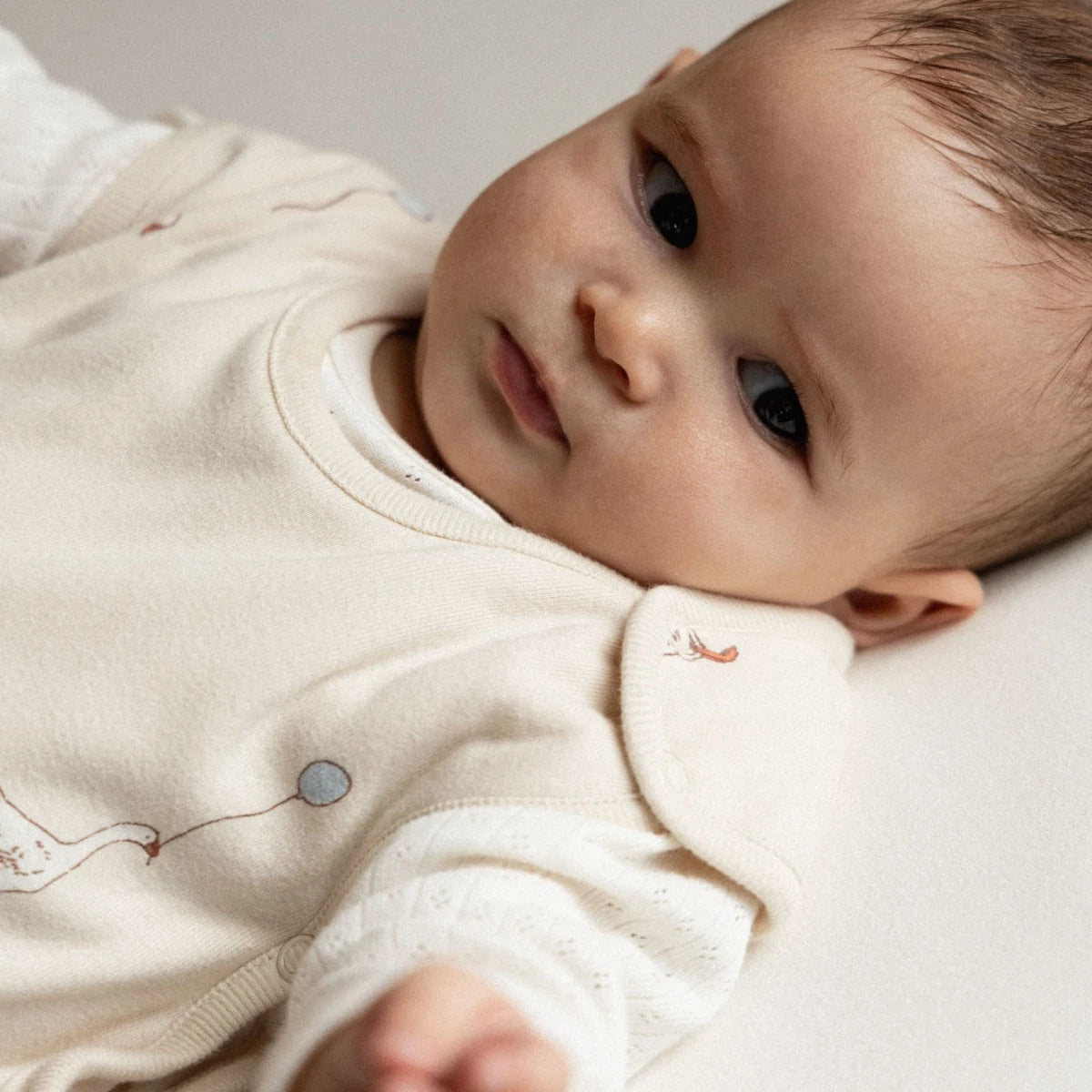 Nature Baby - Cotton & Merino Sleeping Bag  - Goose Lullaby PRINT (0-24M)