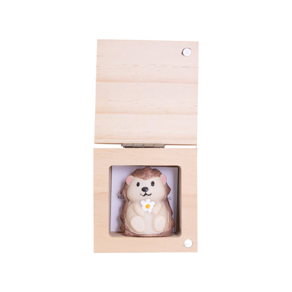 Splosh Special Friend Pocket Promise