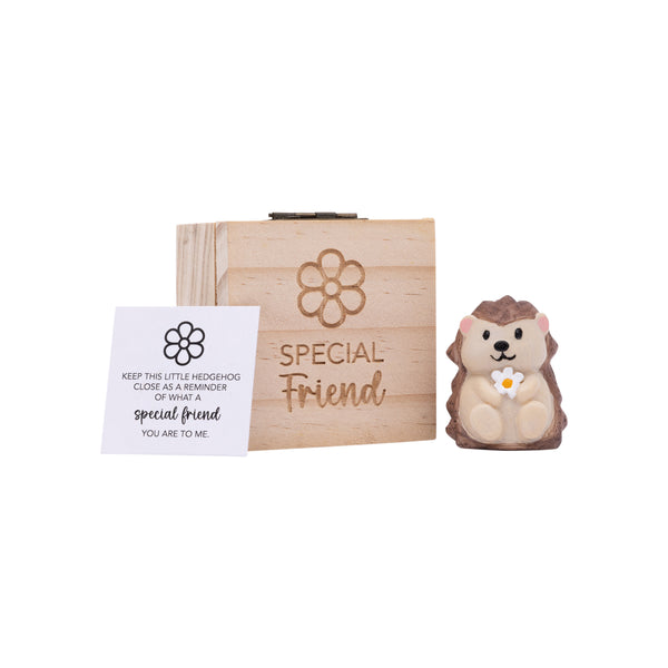 Splosh Special Friend Pocket Promise