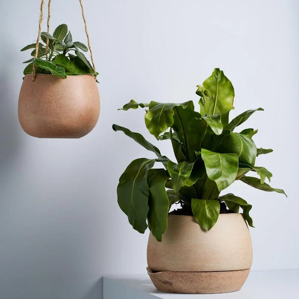 Robert Gordon - Hanging Planter - Small